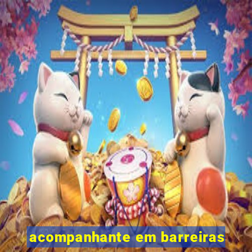 acompanhante em barreiras